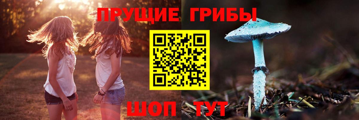 Добрянка  наркота  Вход с VPN  Галлюциногенные грибы Psilocybine cubensis 